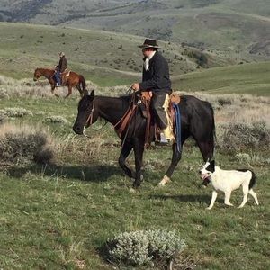 Meet your Posher, Jacob